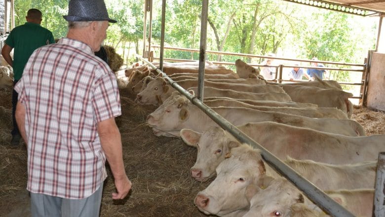 Sve manje poljoprivrednih penzionera kod nas