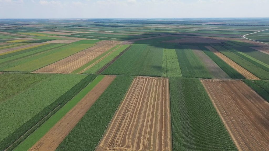 Žene vlasnice samo 10 odsto ukupnih obradivih poljoprivrednih površina u Srbiji – VIDEO