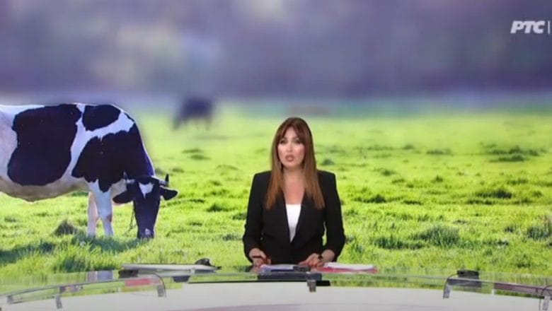 ZADRUŽNI SAVEZ SRBIJE I UDRUŽENJE AGROPROFIT OTVORILINOVU INICIJATIVU O POBOLJŠANJU STANJA U GOVEDARSTVU – VIDEO