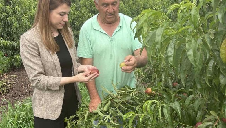 Šteta od nevremena u Topoli