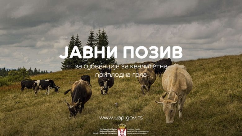 Objavljen Javni poziv za nabavku kvalitetnih priplodnih grla