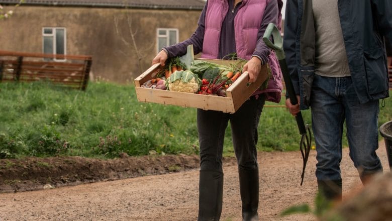 Rast agrarnog izvoza nastavljen i u 2025: Srbija zadržava suficit u trgovini hranom