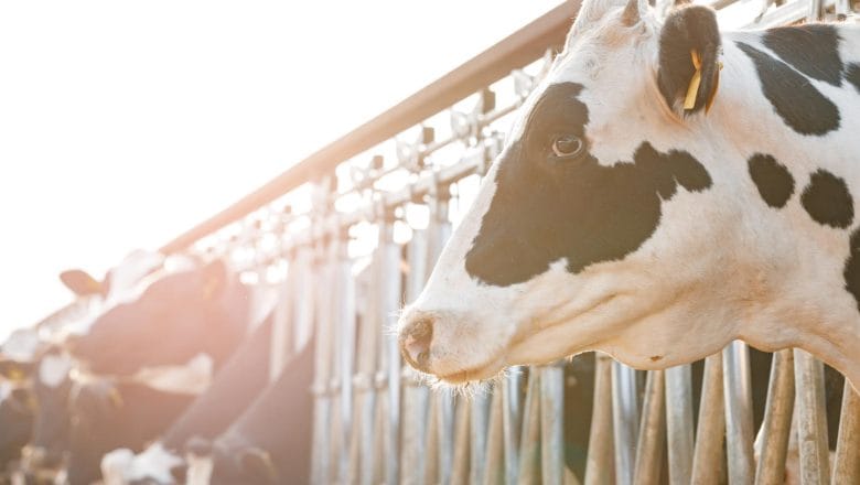 Do 11. jula otvoren Javni poziv za podsticaje izgradnje i opremanja objekata