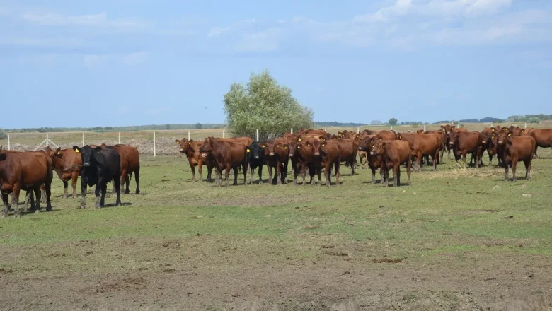 FARMERI IZ UDRUŽENJA AGROPROFIT GOSTI STOČARA U REPUBLICI ČEŠKOJ