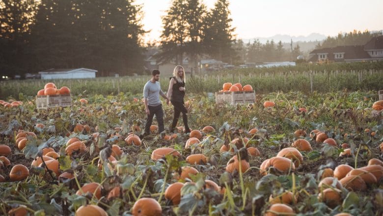 Mračna strana organske poljoprivrede