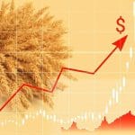 PRODUKTNA BERZA NOVI SAD – DNEVNI IZVEŠTAJ – 14.7.2026.