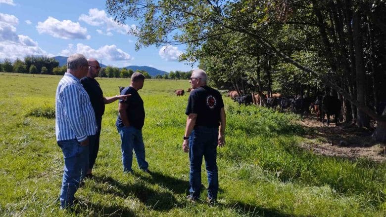 UVOZ MESNIH RASA GOVEDA IZ REPUBLIKE ČEŠKE POVEĆAVA KVALITET DOMAĆEG STADA