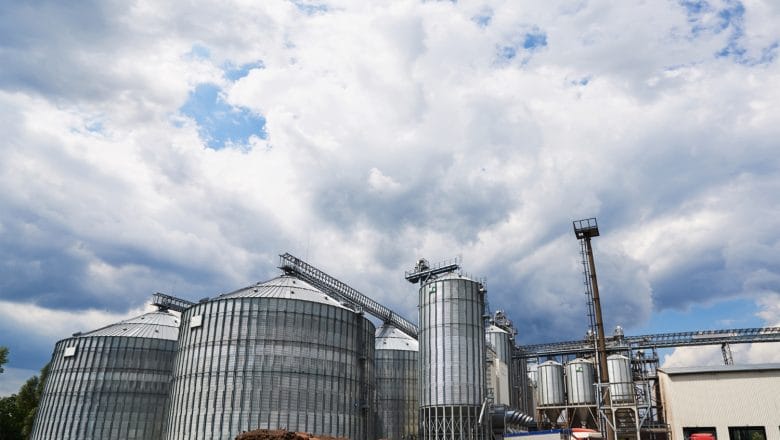 ZALIHE PŠENICE NEPOZNATE, CENA U PADU