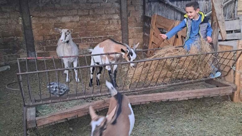 OSTAVILI KANJIŽU I NEMAČKU DA BI SE SKUĆILI U VOJVOĐANSKOM SELU!