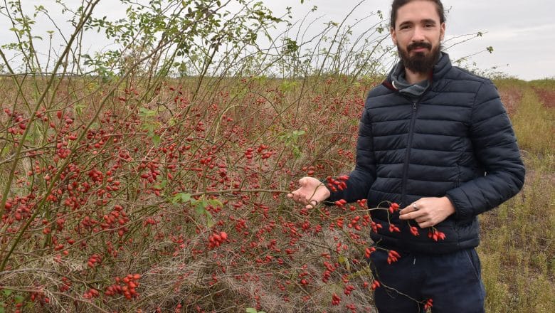 IZ BAČKOG PETROVOG SELA DO NEMAČKIH POLICA