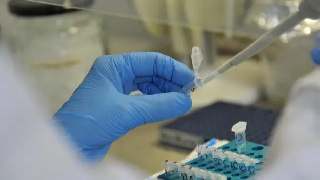 Kako Institut za ratarstvo i povrtarstvo, institut od nacionalnog značaja, čuva prehrambenu sigurnost Srbije i osvaja svet