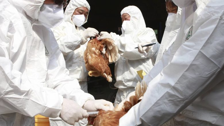 DA LI NAM PRETI PTIČIJI GRIP?