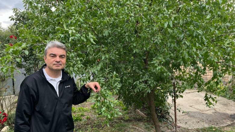 Urme iz Sivca blagodat za zdravlje