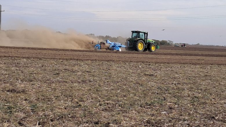 POLOVIČNO ZAVRŠENA SETVA ULJANE REPICE