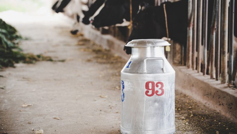 EU farme proizvele blizu 162 miliona tona sirovog mleka – stabilan rast od 0,9 miliona tona