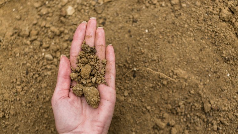 KAD ZEMLJA PROGOVORI, POLJOPRIVREDNIK SLUŠA