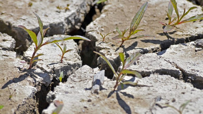 KLIMATSKE PROMENE: KRAJ POZNATOG PEJZAŽA, NE KRAJ SVETA
