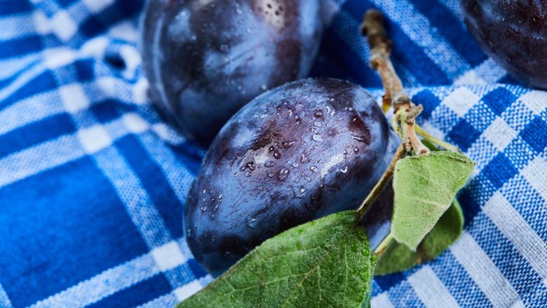 Srbija je zemlja šljive i rakije – kako do boljeg plasmana na inostranim tržištima