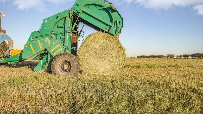 Gotovo sve subvencije isplaćene: Država uplatila preko 101 milijardu dinara poljoprivrednicima