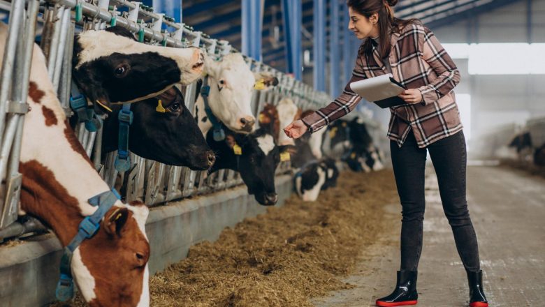Skok cene teladi, pad junadi i „klackalica“ kod prasadi – Šta nam donosi kraj januara?