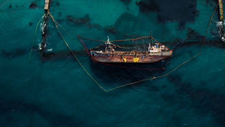 Preživljavanje najsposobnijih: Strukturne promene u trgovini žitom na Crnom moru