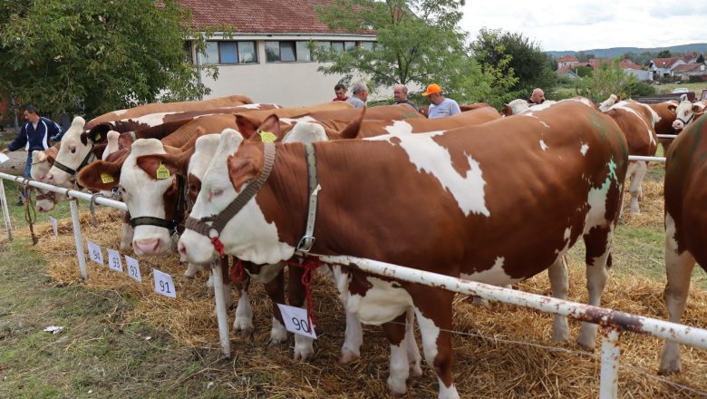 Stiže najjači paket podrške do sada: Podsticaji za stočare rastu sa 3 na 20 miliona dinara!
