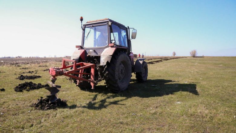 Kako do državnih subvencija u poljoprivredi?