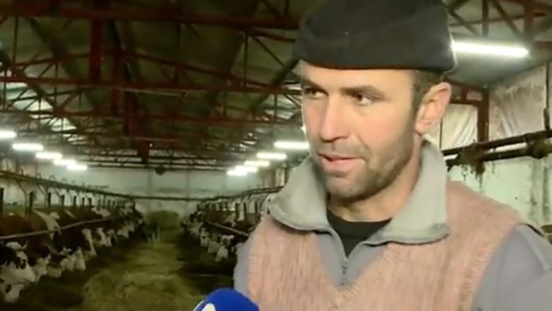 Proizvođači mleka upozoravaju: marže i trgovački lanci guraju stočare u gubitak