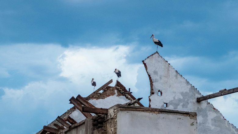Od početka 21. veka, u Srbiji su klimatski ekstremi napravili štetu od najmanje 10 milijardi evra