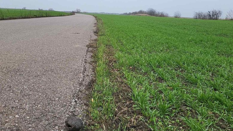 U severnom Banatu i dalje otimaju pašnjake