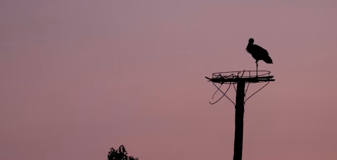 2025. je trebalo da nas rashladi… A zapravo je među 3 najtoplije godine ikada zabeležene