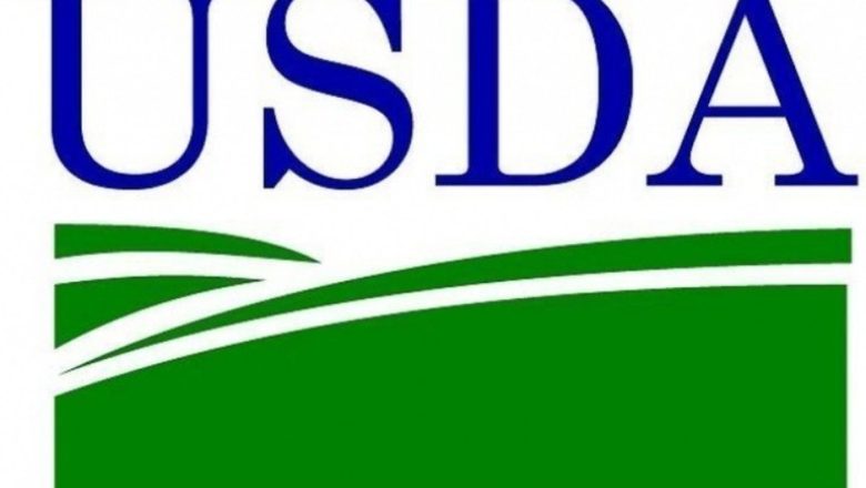 USDA otkriva rekorde i rizike: evo kako će žitarice i uljarice izgledati 2026. — i šta to znači za Srbiju