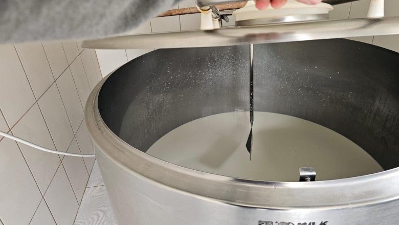 Raspisan Javni poziv za premiju za mleko za četvrti kvartal 2025. godine