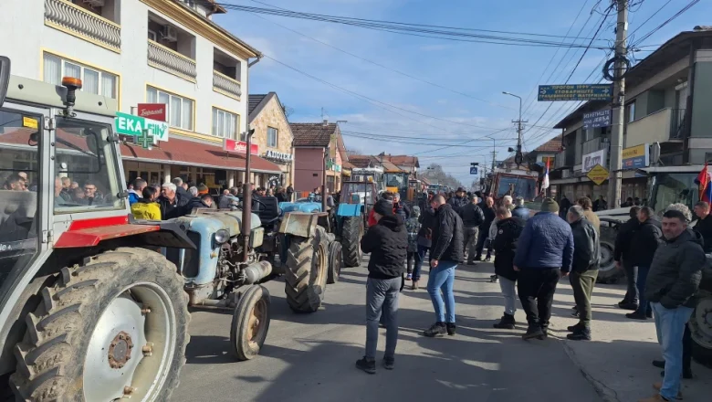 Odbor za poljoprivredu: Do 15 odsto otkupljenog mleka za preradu u mleko u prahu uz državnu subvenciju za skladištenje
