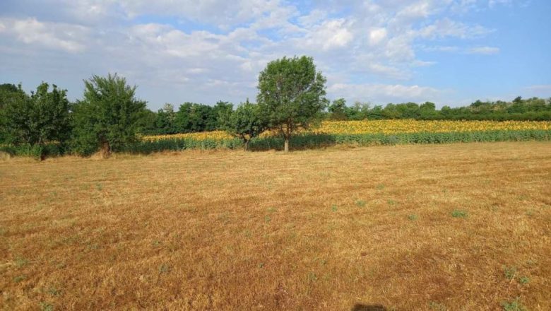 Uz podršku EU postavljeni temelji za otporniju poljoprivredu u Srbiji