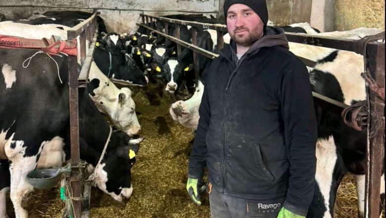 Potoci prosutog mleka samo ubrzavaju odumiranje srpskog sela