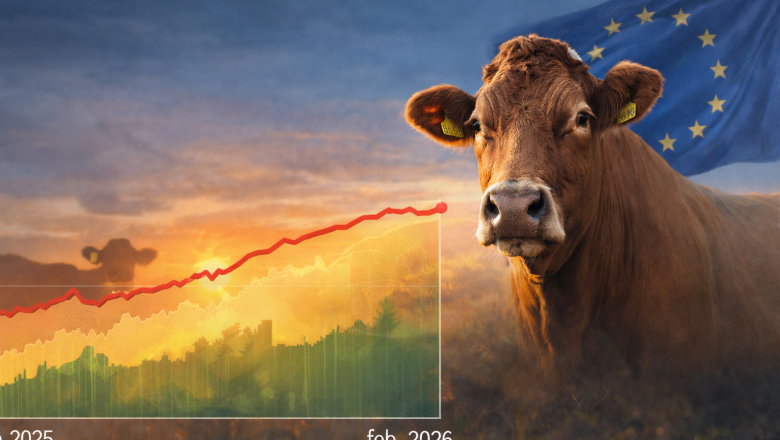 EU tržište goveđeg mesa stabilno uz blagu korekciju cena