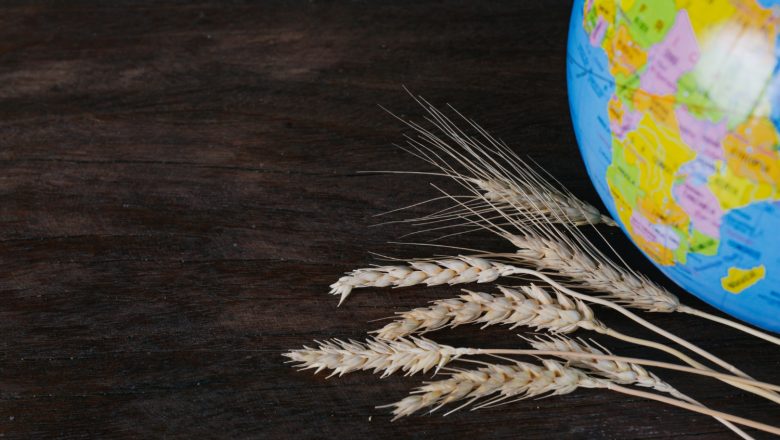 Globalno tržište žitarica i uljarica nedeljni pregled 23.02.2026.