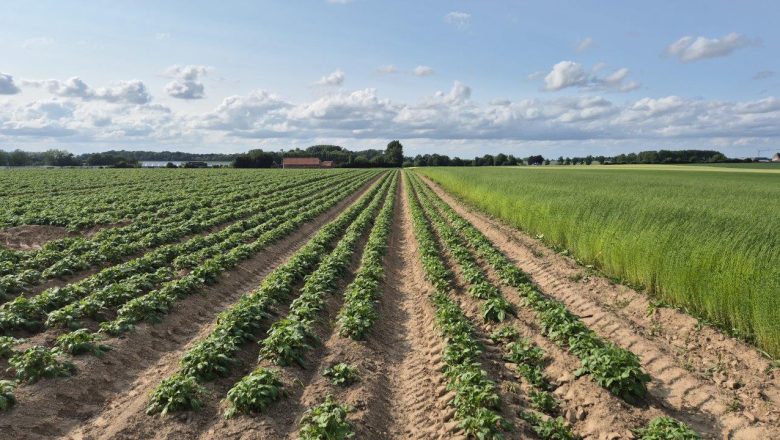 Počela javna rasprava o novom Zakonu o zdravlju bilja – primedbe moguće do 21. marta