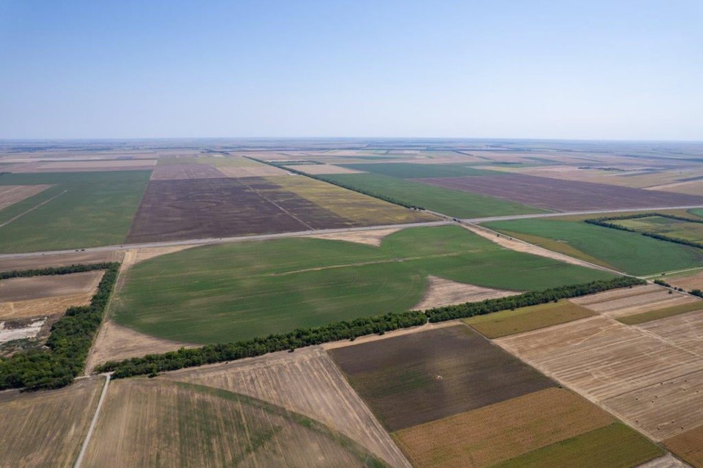 Okrugli sto o Predlogu strategije poljoprivrede i ruralnog razvoja 25. marta u Beogradu
