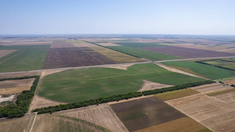 Okrugli sto o Predlogu strategije poljoprivrede i ruralnog razvoja 25. marta u Beogradu