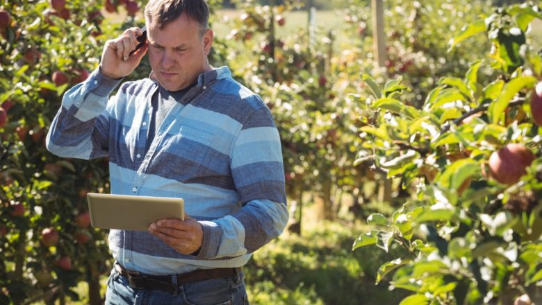 Da li je setva bez polise kockanje sa prirodom? Samo 15% njiva u Srbiji pod osiguranjem