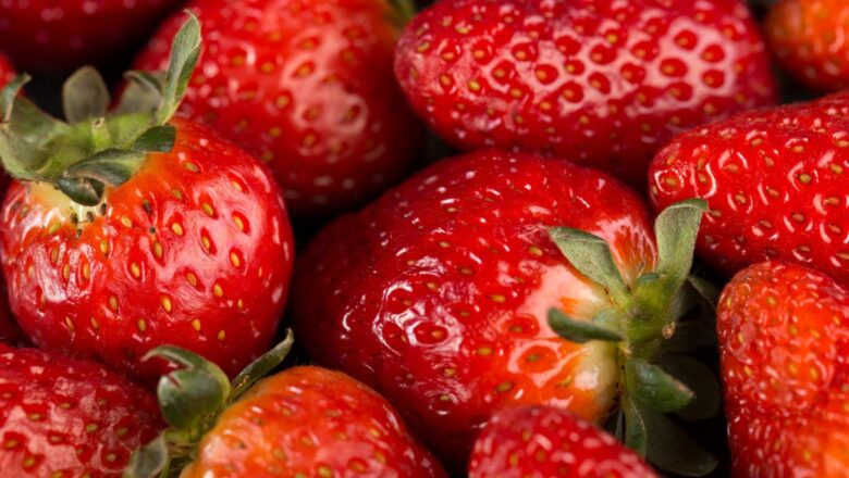 Sezona ranih jagoda: Kako prepoznati plodove pune hemije i sačuvati zdravlje