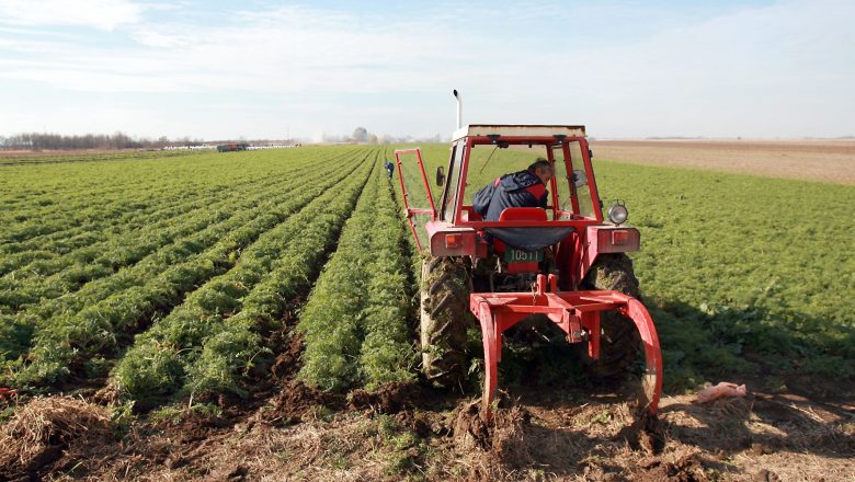 Poslednji dani za prijavu: Osnovni podsticaji od 18.000 dinara po hektaru do 1. aprila