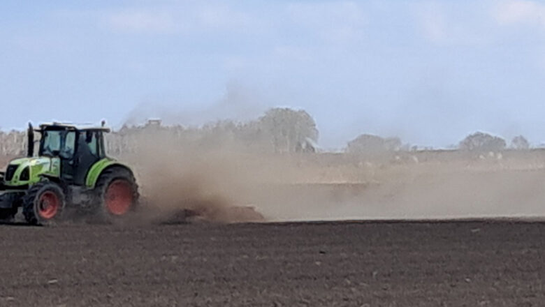 SUŠA PREKINULA SETVU ŠEĆERNE REPE