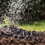 Pokrajina namenila 480 miliona dinara za navodnjavanje: Subvencije i do 70 odsto