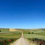 Podrška struci: Za rad poljoprivrednih službi u Vojvodini izdvojeno 199 miliona dinara