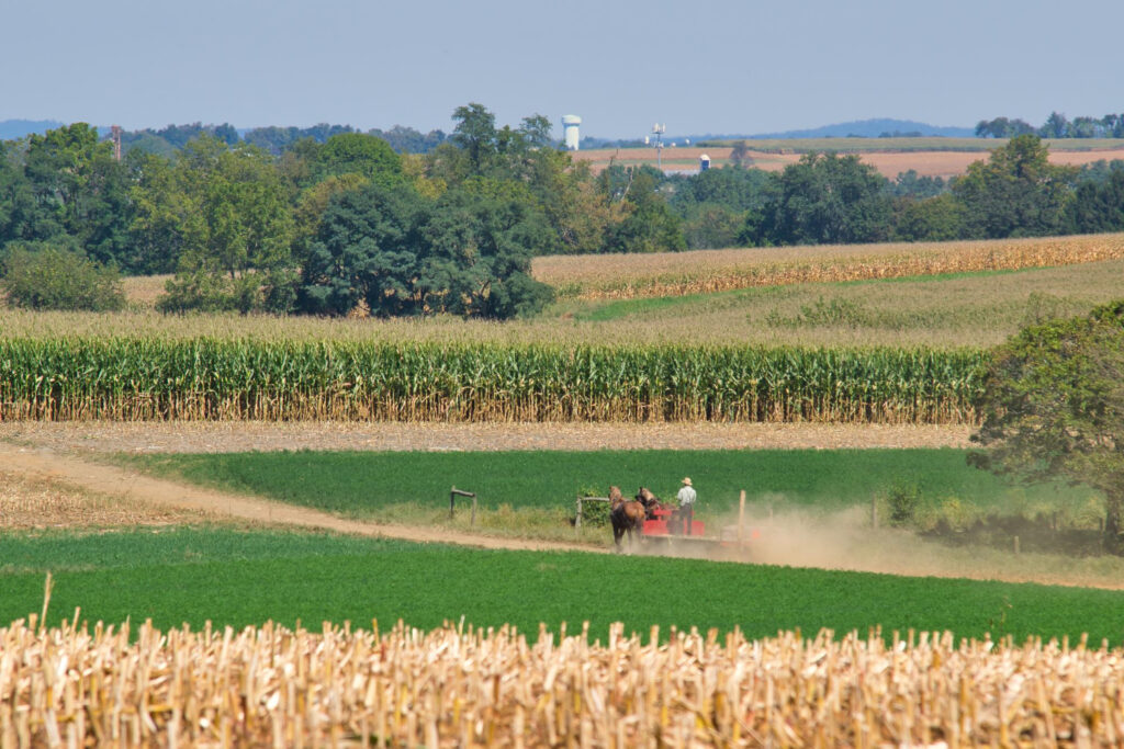 Kako izračunati profitabilnost poljoprivredne proizvodnje?