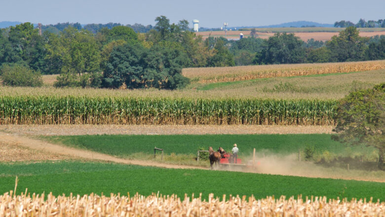 Kako izračunati profitabilnost poljoprivredne proizvodnje?