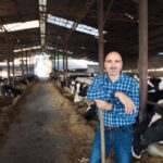 Rekordne cene prasadi i jagnjadi: Vranje prednjači jagnjad čak 520 dinara, dok krupna stoka gubi na vrednosti!